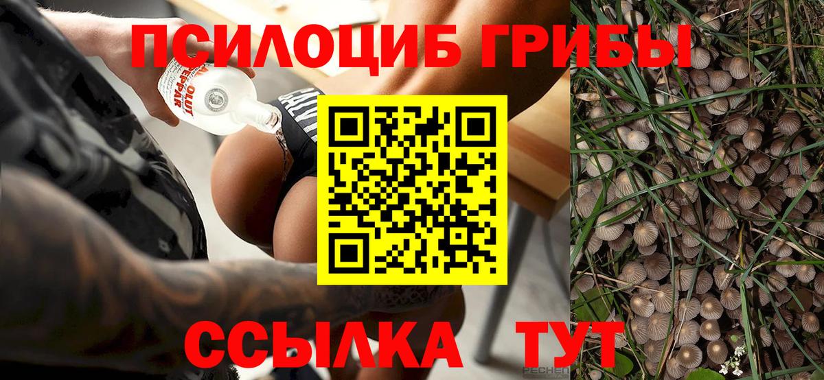 Галлюциногенные грибы мицелий  Вход с VPN  Псилоцибиновые грибы прущие грибы  Юрга 