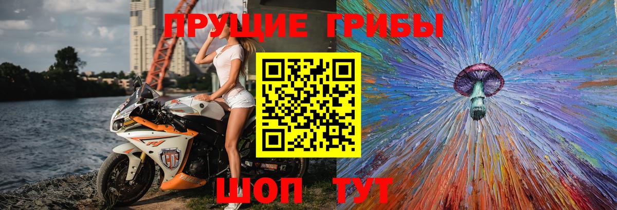 Галлюциногенные грибы MAGIC MUSHROOMS Юрга